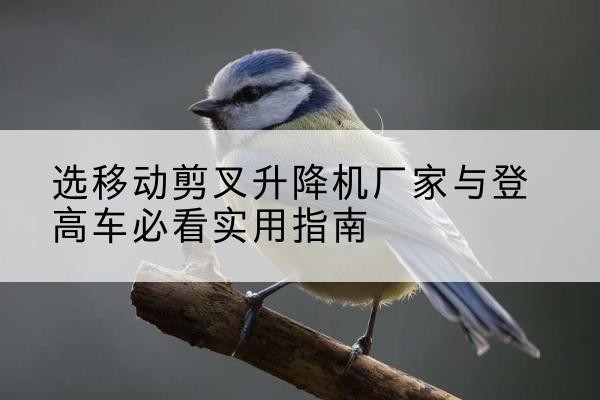 王益电动升降机厂家-选移动剪叉升降机厂家与登高车必看实用指南