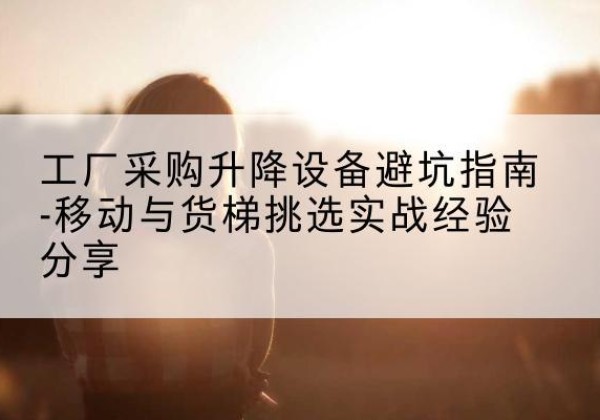 王益移动式升降机怎么选-工厂采购升降设备避坑指南-移动与货梯挑选实战经验分享