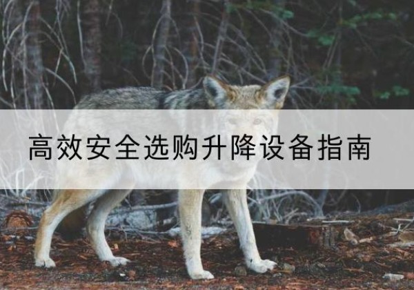 王益升降货梯厂家推荐-*安全选购升降设备指南