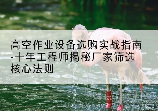 王益剪叉式升降机厂家-高空作业设备选购实战指南-十年工程师揭秘厂家筛选核心法则
